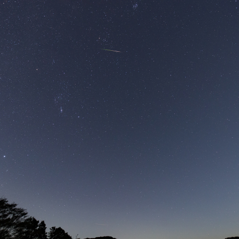 月光下のオリオン座流星群