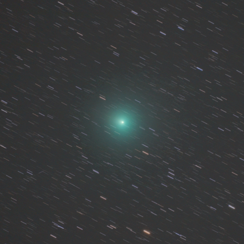 12月8日のウィルタネン彗星