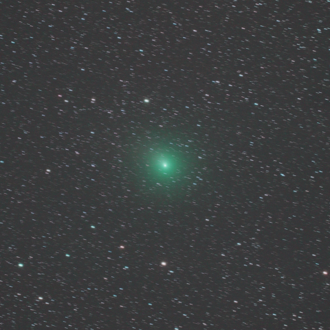 12月31日のウィルタネン彗星