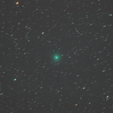 2月3日未明の岩本彗星