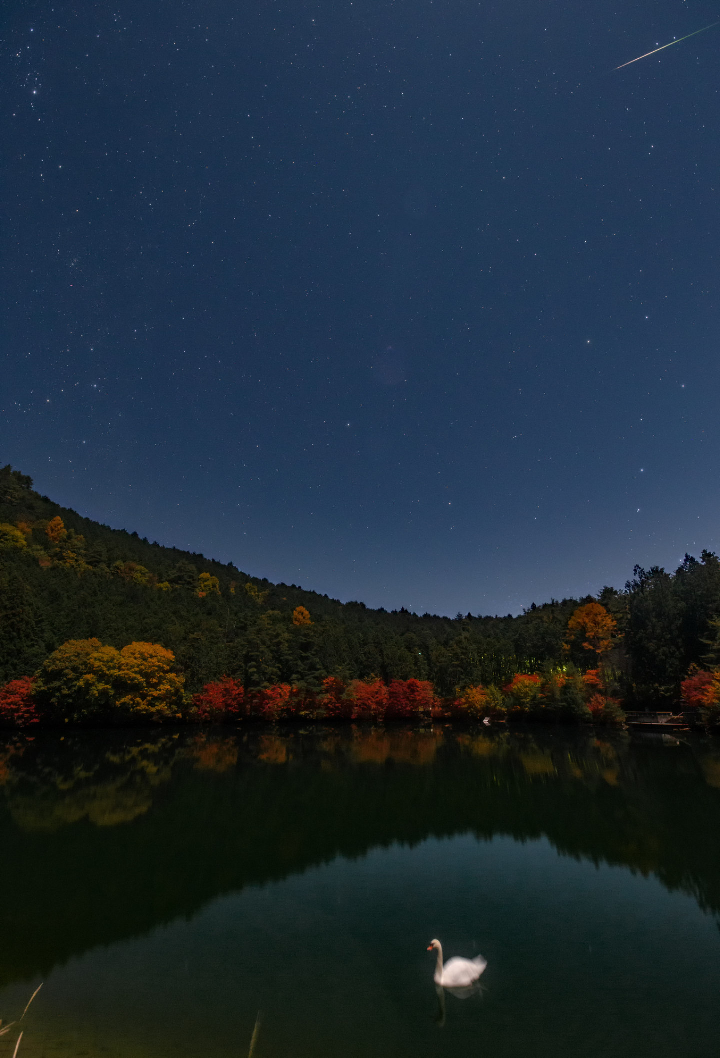 しし座流星群と夜の湖 By Jfuk2 天体写真ギャラリー しし座流星群と夜の湖 By Jfuk2 天体写真ギャラリー