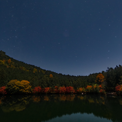 しし座流星群と夜の湖