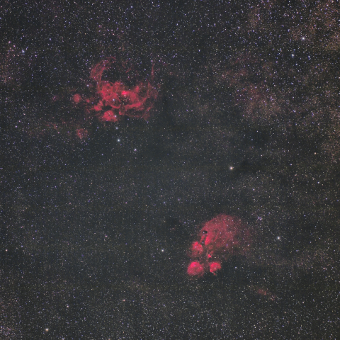 彼岸花星雲と出目金星雲