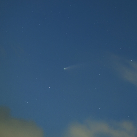 薄明のネオワイズ彗星