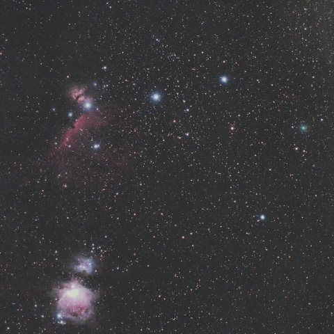 オリオンの足下を行くアトラス彗星