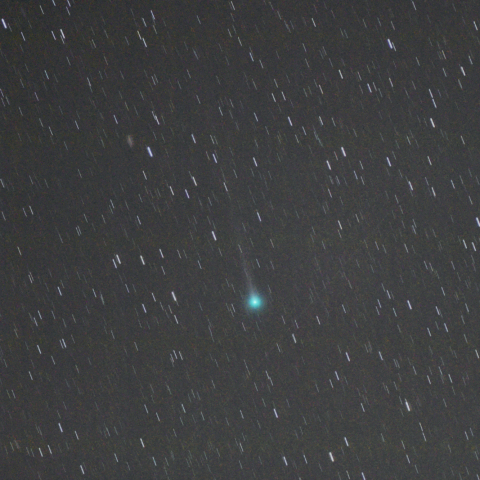 11月15日のエラスムス彗星