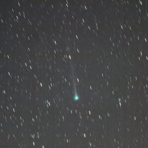 11月21日のエラスムス彗星