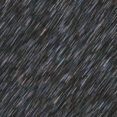 2月4日のネオワイズ彗星（C/2021 A2）