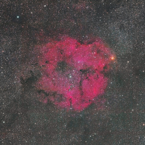 ケフェウス座の散光星雲IC1396