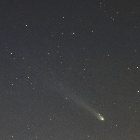 12月25日夕のレナード彗星