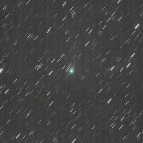 2月25日のボレリ彗星