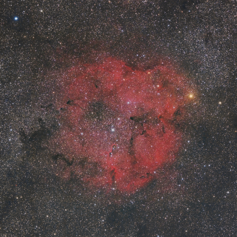 ケフェウス座の散光星雲IC1396