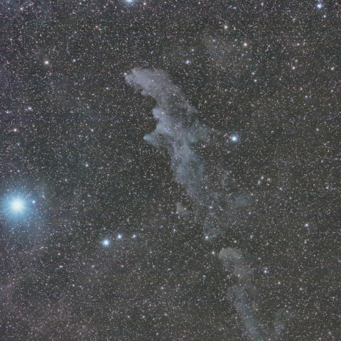 魔女の横顔星雲