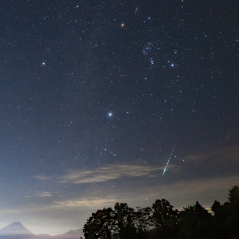 冬の大三角とおうし座流星群