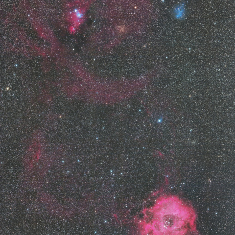 ばら星雲とクリスマスツリー星団