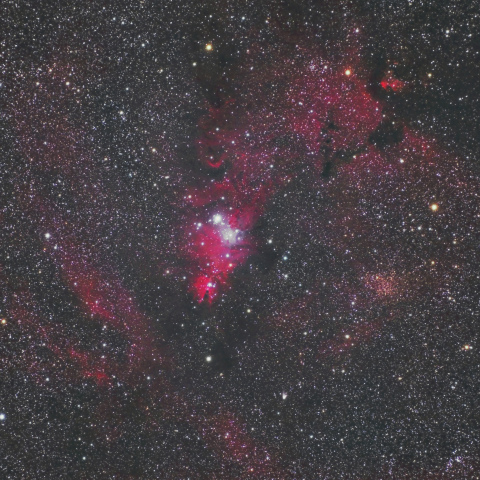 クリスマスツリー星団