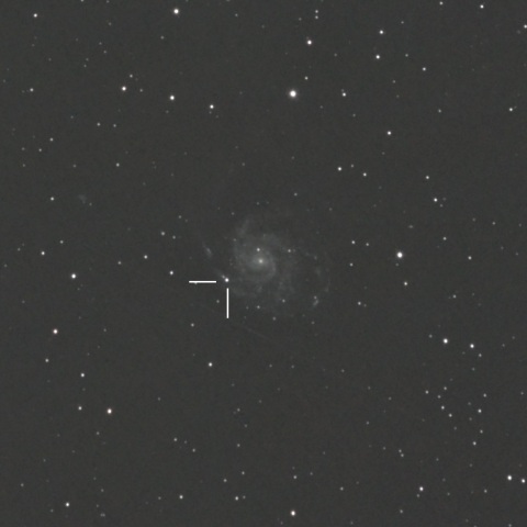 M101の超新星SN2023ixf