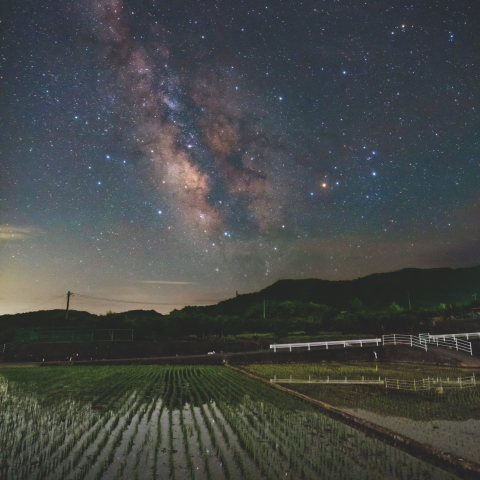 田んぼの上に広がる星空