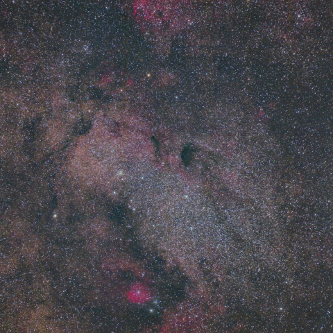 オメガ星雲を見上げるバンビの横顔