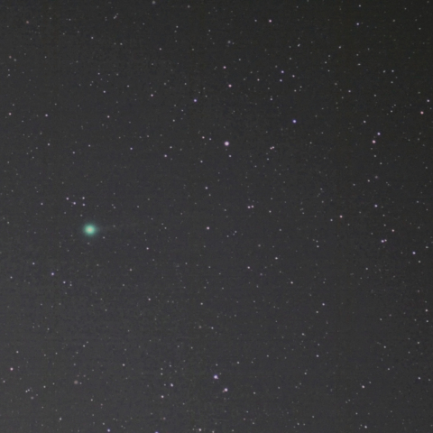 8月26日の西村彗星（C/2023 P1）