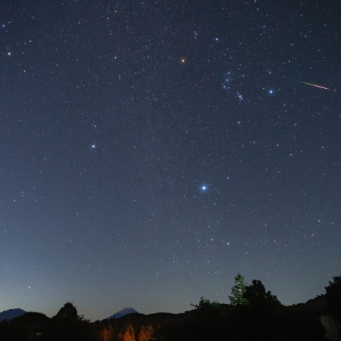 冬の大三角とオリオン座流星群