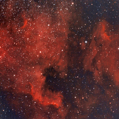 北アメリカ星雲とペリカン星雲