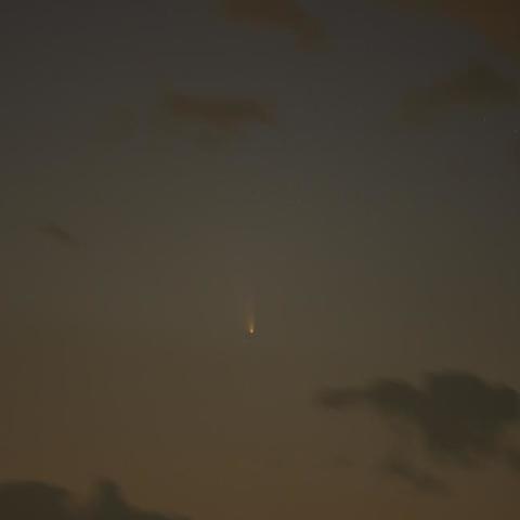 ついに捉えたパンスターズ彗星