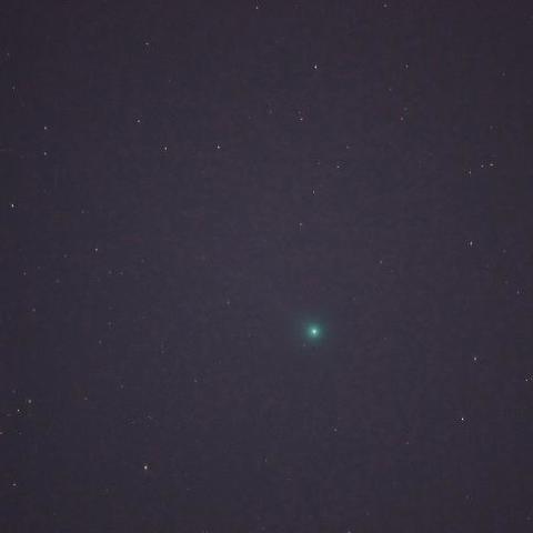 宇都宮市内からのラブジョイ彗星