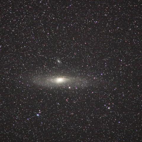 M31