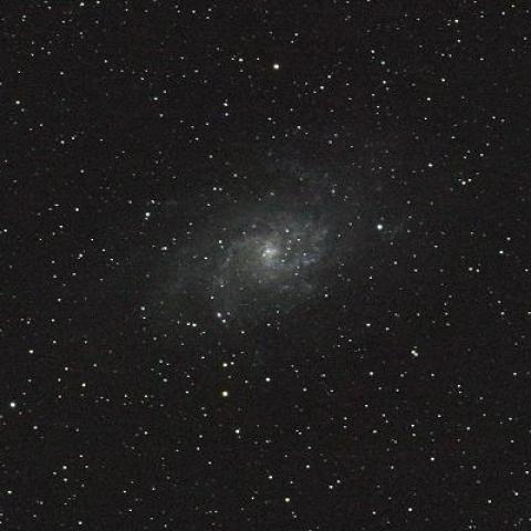 M33