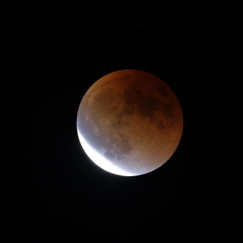 ターコイズフリンジ