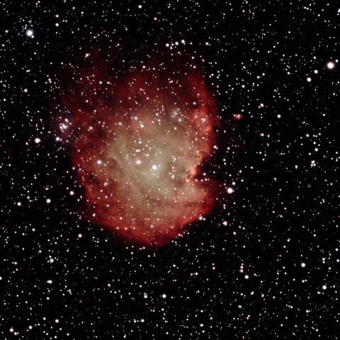 モンキーフェイス星雲