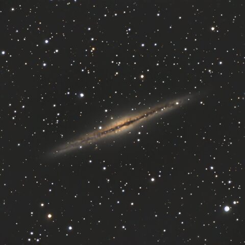 NGC891