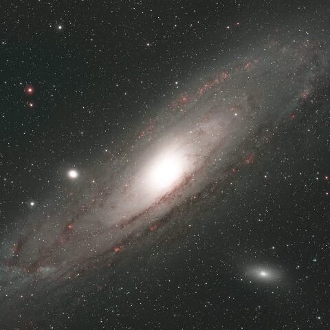 M31