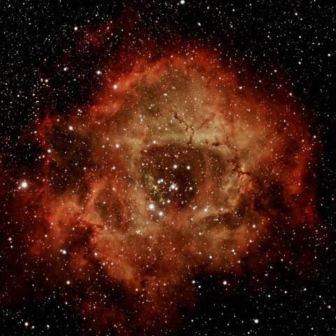 バラ星雲（NGC2237）