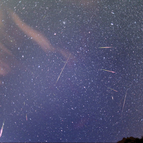 ２００９しし座流星群