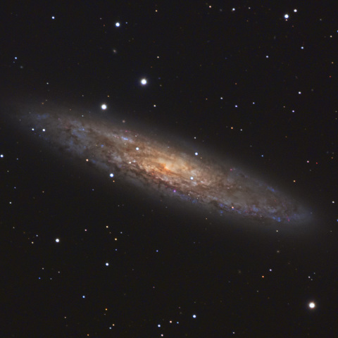 NGC253