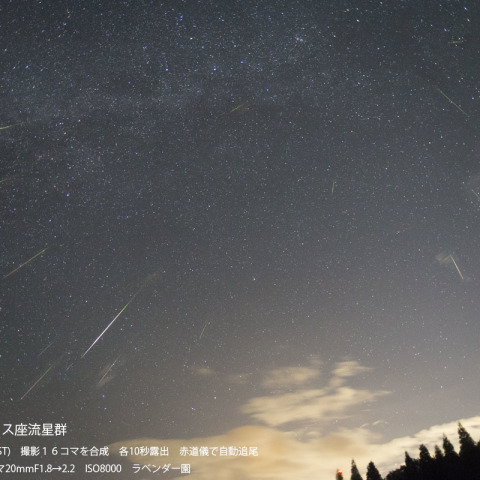 2015年ペルセウス座流星群