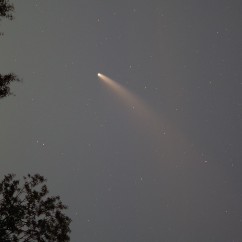 ネオワイズ彗星