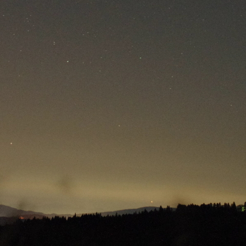 新潟よりカノープス