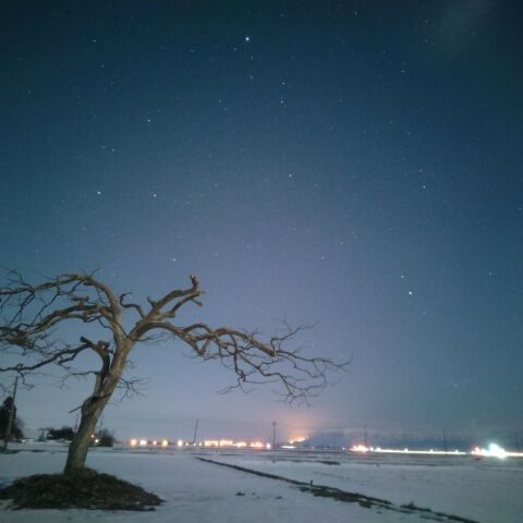 雪原と夏の大三角