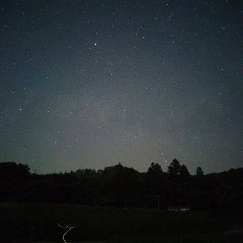ホタルと夏の大三角