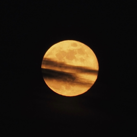 月齢14.3コールドムーン