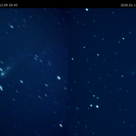 核分裂後の240P比較