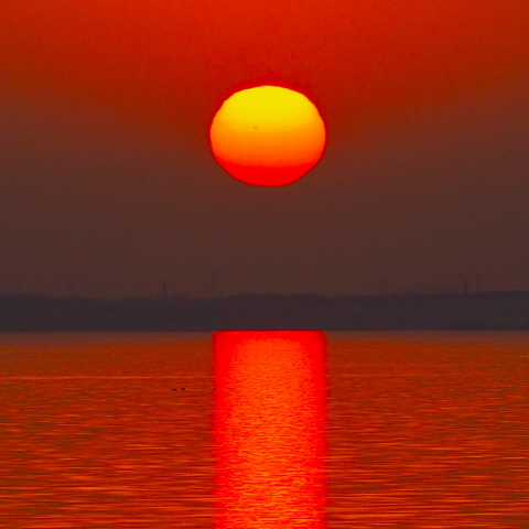 沈む太陽と浮かぶ黒点