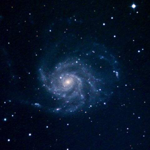 M101