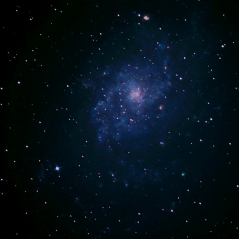 M33