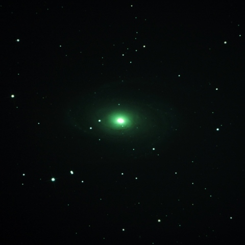 M81