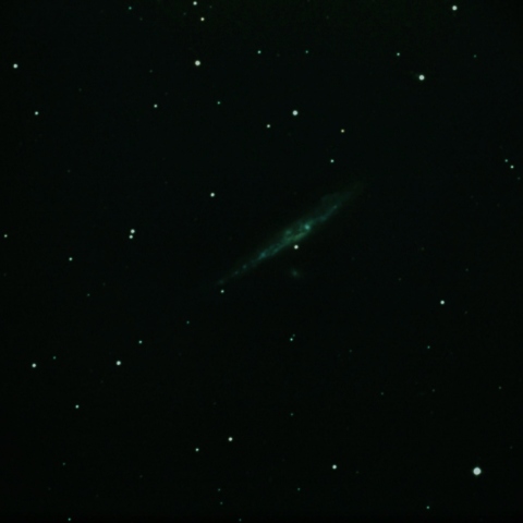 NGC4631