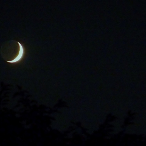 三日月と地球照、木星